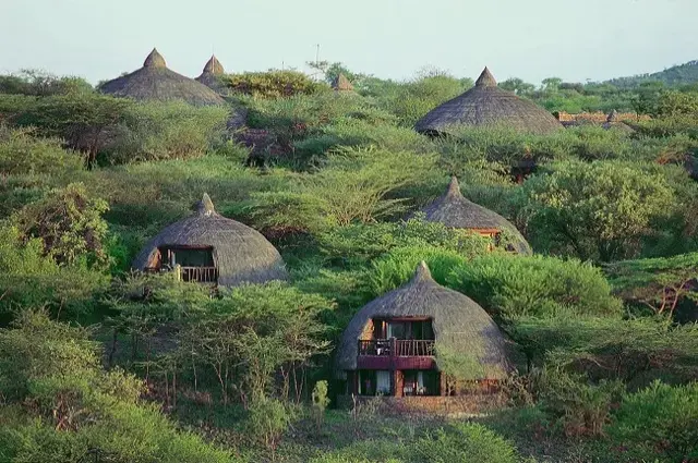 Tailor Made Holidays & Bespoke Packages for Serengeti Serena Safari Lodge